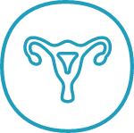 HPV Folgen Gebärmutterhalskrebs